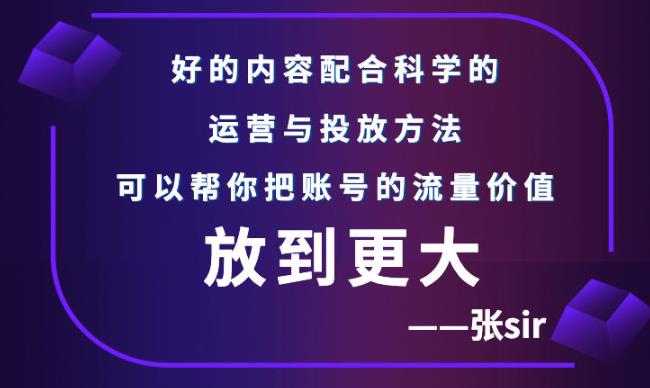 【副业项目3305期】（怎么投dou+快速涨粉）张sir账号流量增长课，让你的流量更精准-悠闲副业网