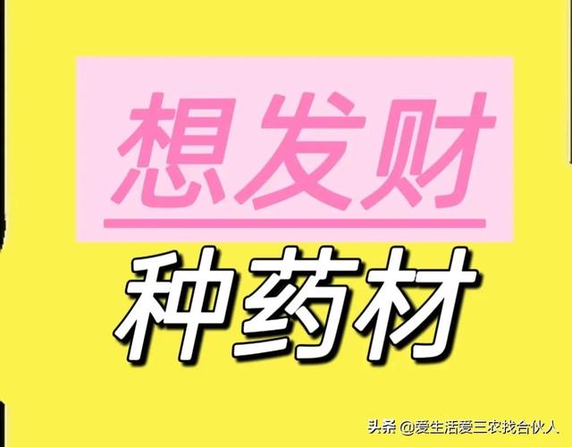 农村种植什么利润高（种什么药材最赚钱农村2022年）-悠闲副业网