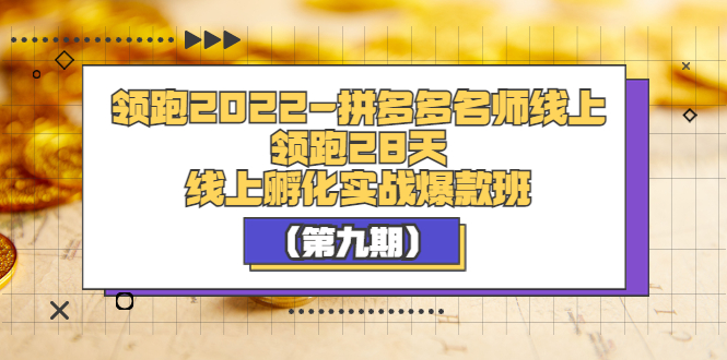 【副业项目3821期】拼多多名师线上领跑28天，拼多多线上孵化实操爆款班（第九期）-悠闲副业网