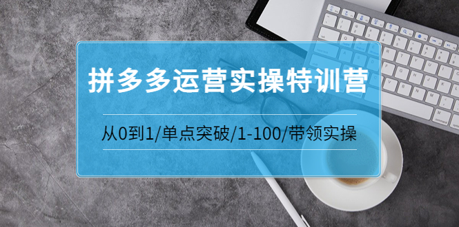 【副业项目3863期】拼多多运营实操特训营：拼多多直通车进阶优化技巧，拼多多如何操作利润最大化-悠闲副业网