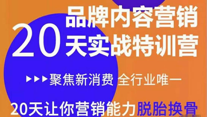 【副业项目3899期】《内容营销实操特训营》20天让你营销能力脱胎换骨（价值3999）-悠闲副业网