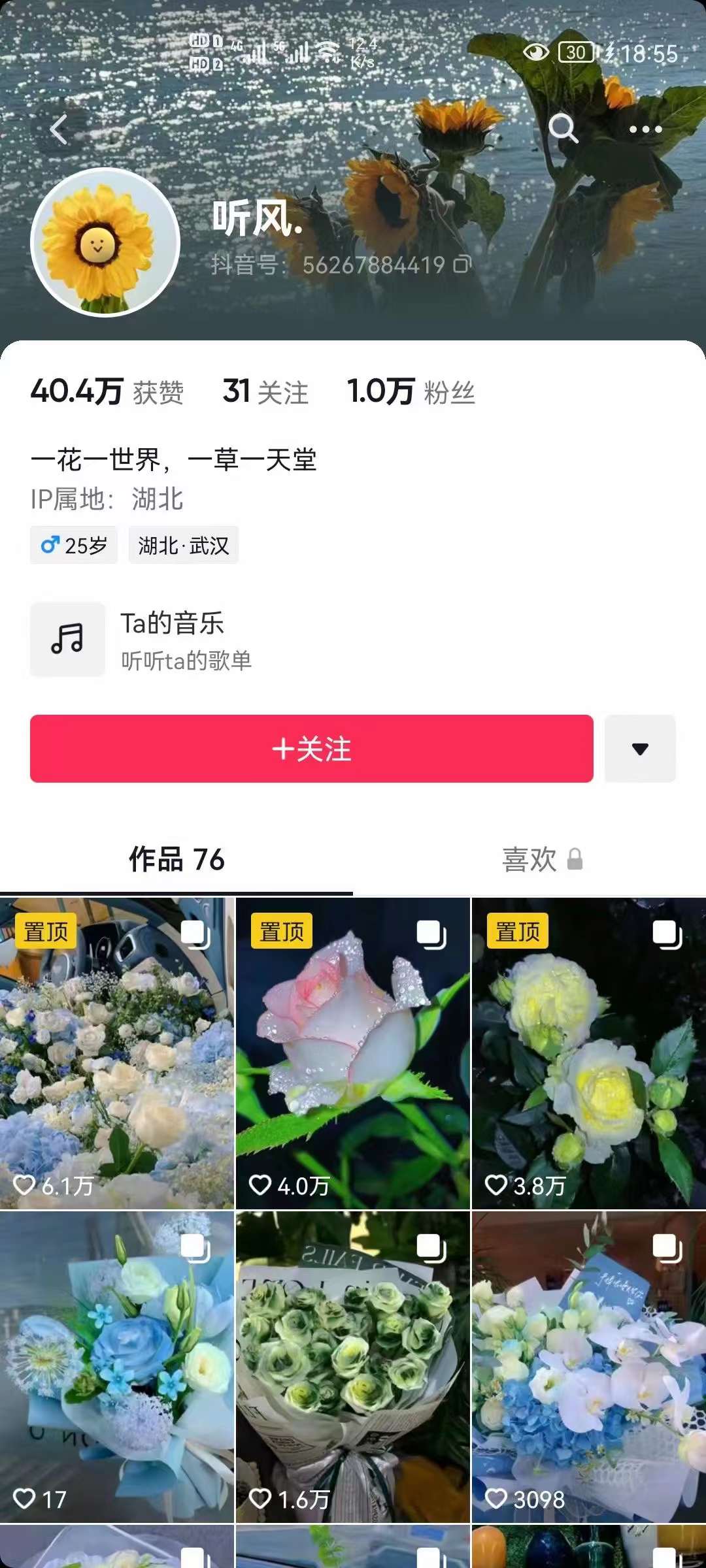 【副业项目3920期】抖音壁纸变现项目：实战日入380+发布壁纸素材获取收益！插图2