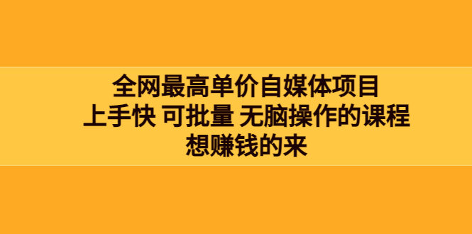 【副业项目3976期】全网最单高价自媒体项目：上手快 可批量 无脑操作的课程，想赚钱的来-悠闲副业网