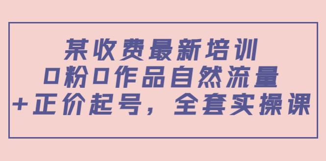 【副业项目4039期】某收费最新培训：0粉0作品自然流量+正价起号，全套实操课-悠闲副业网