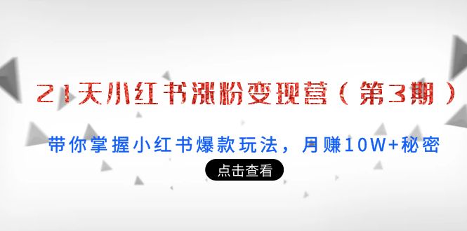 【副业项目4158期】21天小红书涨粉变现营（第3期）：带你掌握小红书爆款玩法，月赚10W+秘密-悠闲副业网