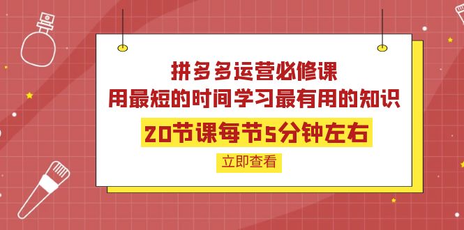 【副业项目4189期】拼多多运营必修课：20节课每节5分钟左右，用最短的时间学习最有用的知识-悠闲副业网