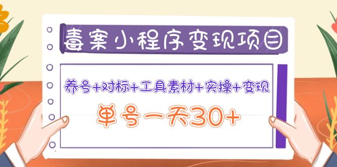 【副业项目4214期】图文案小程序变现项目：养号+对标+工具素材+实操+变现，单号一天30+-悠闲副业网