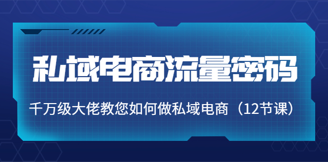 【副业项目4297期】私域电商流量密码：千万级大佬教您如何做私域电商（12节课）-悠闲副业网