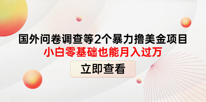 【副业项目4372期】国外问卷调查等2个暴力撸美金项目，小白零基础也能月入过万-悠闲副业网