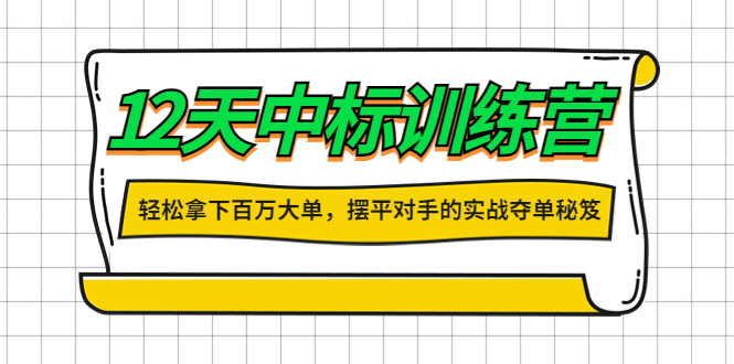 【副业项目4416期】12天中标训练营：轻松拿下百万大单，摆平对手的实战夺单秘笈-悠闲副业网