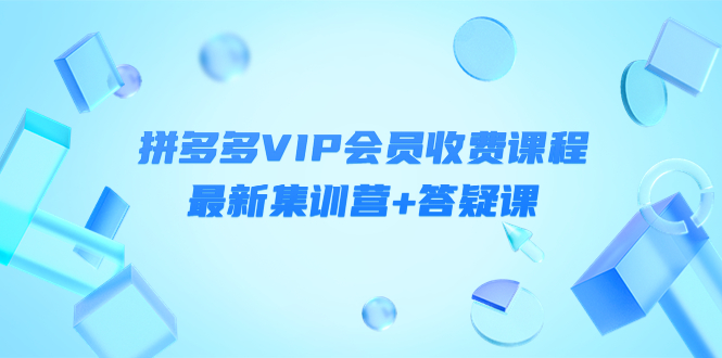 【副业项目4426期】某社群·拼多多VIP会员收费课程，最新集训营+答疑课-价值3299元-悠闲副业网