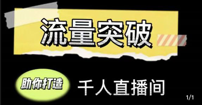 【副业项目4460期】直播运营实战视频课，助你打造千人直播间（14节视频课）-悠闲副业网