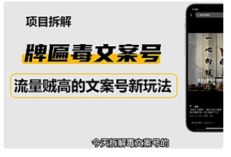 【副业项目4912期】2023抖音快手毒文案新玩法，牌匾文案号，起号快易变现-悠闲副业网