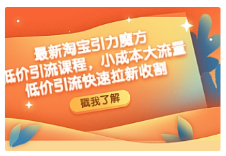 【副业项目4943期】最新淘宝引力魔方低价引流实操：小成本大流量，低价引流快速拉新收割-悠闲副业网