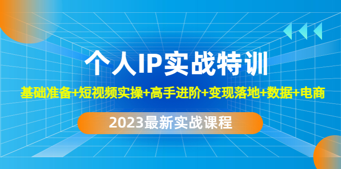 【副业项目4959期】2023个人IP实战特训：基础准备+短视频实操+高手进阶+变现落地+数据+电商-悠闲副业网