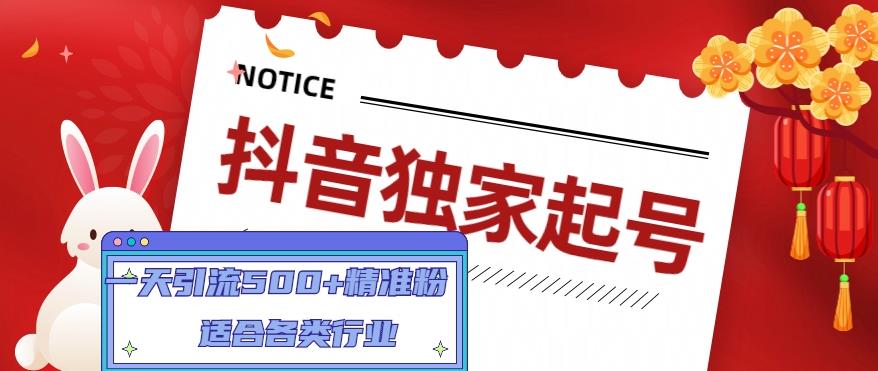 【副业项目5106期】抖音独家起号，一天引流500+精准粉，适合各类行业（9节视频课）-悠闲副业网