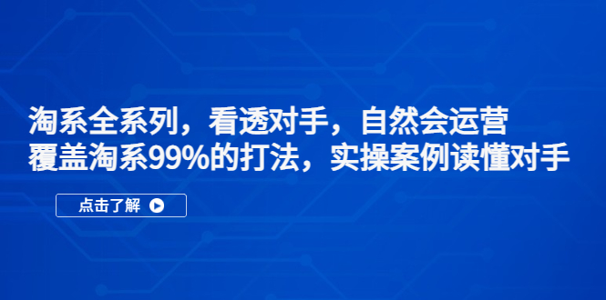 【副业项目5366期】淘系全系列，看透对手，自然会运营，覆盖淘系99%·打法，实操案例读懂对手-悠闲副业网