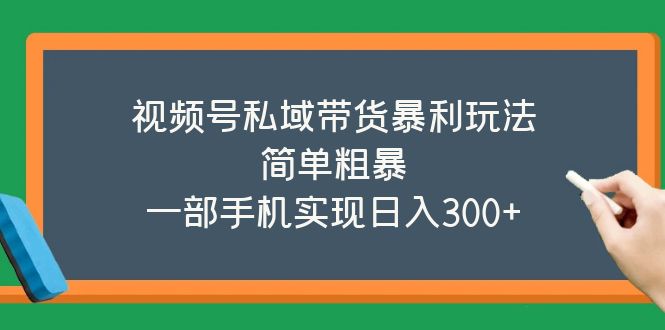 【副业项目5627期】视频号私域带货暴利玩法，简单粗暴，一部手机实现日入300+-悠闲副业网