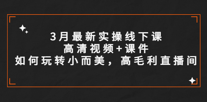 【副业项目5675期】3月最新实操线下课高清视频+课件，如何玩转小而美，高毛利直播间-悠闲副业网