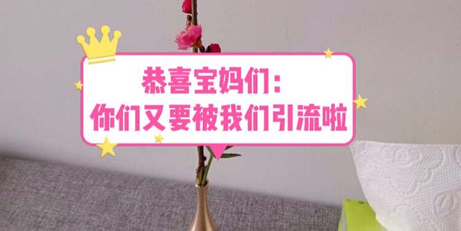 【副业项目5918期】恭喜宝妈们：你们又要被我们引流了（教程+222g资料）-悠闲副业网