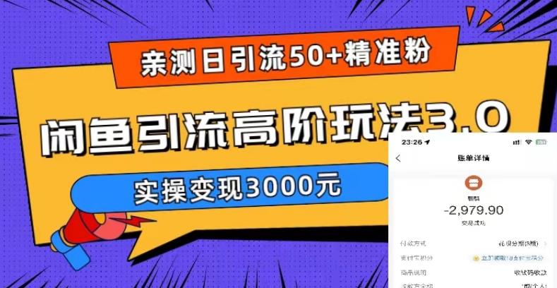 【副业项目5795期】实测日引50+精准粉，闲鱼引流高阶玩法3.0，实操变现3000元-悠闲副业网