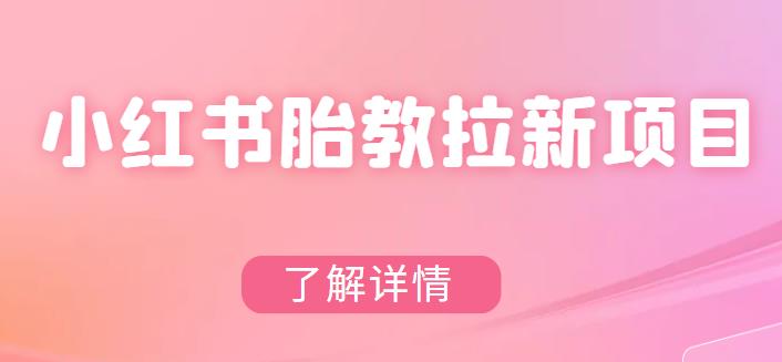 【副业项目6099期】小红书胎教网盘拉新项目，可在私域变现两次（作品制作教程+素材）-悠闲副业网