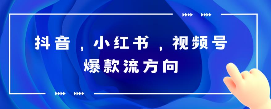 【副业项目6104期】抖音，小红书，视频号爆款流视频制作，简单制作掌握流量密码-悠闲副业网