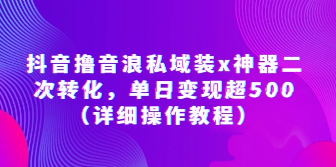 【副业项目6229期】抖音撸音浪私域装x神器二次转化，单日变现超500（详细操作教程）-悠闲副业网