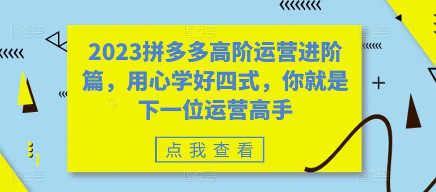 【副业项目6241期】2023拼多多高阶运营进阶篇，用心学好四式，你就是下一位运营高手-悠闲副业网