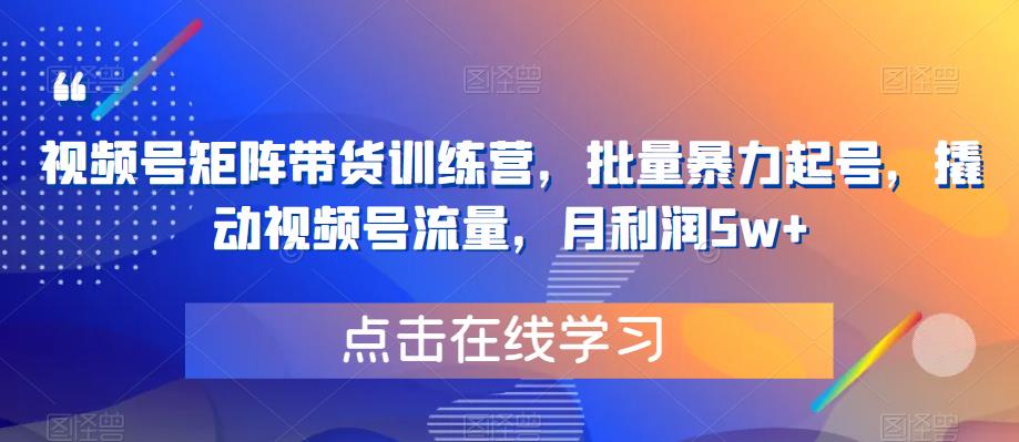 【副业项目6254期】视频号矩阵带货训练营，批量暴力起号，撬动视频号流量，月利润5w+-悠闲副业网