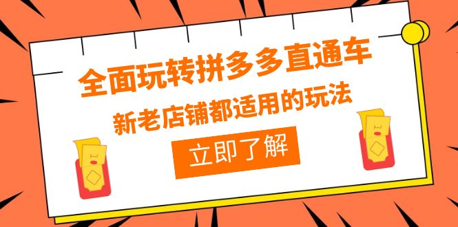 【副业项目6359期】全面玩转拼多多直通车，新老店铺都适用的玩法（12节精华课）-悠闲副业网