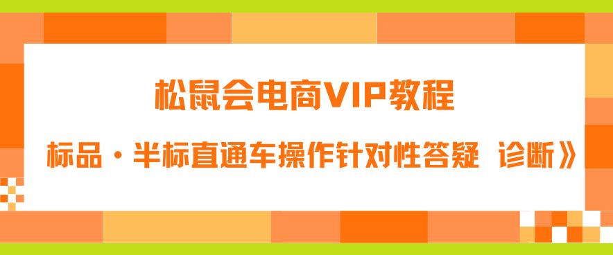 【副业项目6373期】松鼠会电商VIP教程：松鼠《付费推广标品·半标直通车操作针对性答疑&诊断》-悠闲副业网