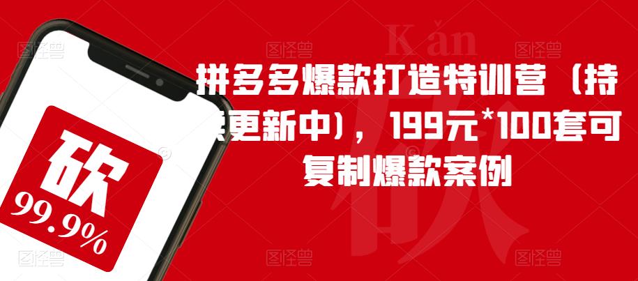 【副业项目6391期】拼多多爆款打造特训营（持续更新中)，199元*100套可复制爆款案例-悠闲副业网