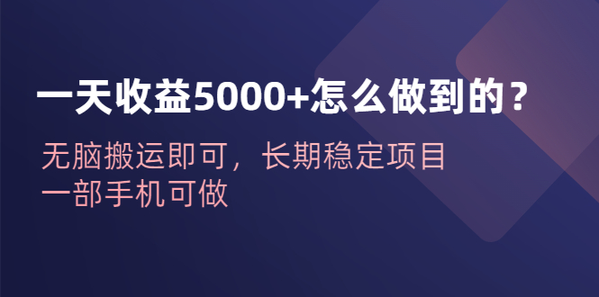 【副业项目6540期】一天收益5000+怎么做到的？无脑搬运即可，长期稳定项目，一部手机可做-悠闲副业网