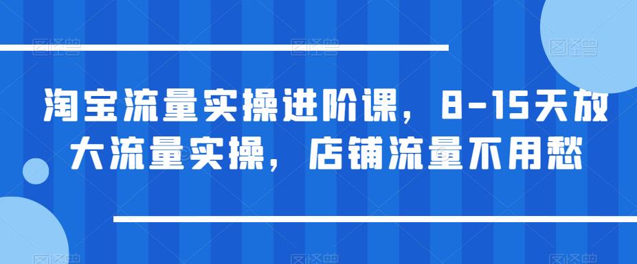 【副业项目6415期】淘宝流量实操进阶课，8-15天放大流量实操，店铺流量不用愁-悠闲副业网