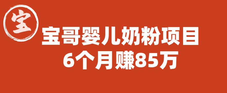 【副业项目6416期】宝哥婴儿奶粉项目，6个月赚85w【图文非视频】【揭秘】-悠闲副业网