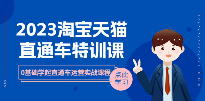 【副业项目6489期】2023淘宝·天猫直通车评特训课，0基础学起直通车运营实战课程（8节课时）-悠闲副业网