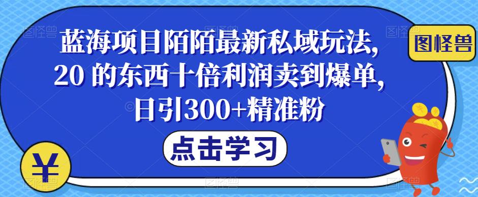 【副业项目6699期】蓝海项目陌陌最新私域玩法，20 的东西十倍利润卖到爆单，日引300+精准粉【揭秘】-悠闲副业网