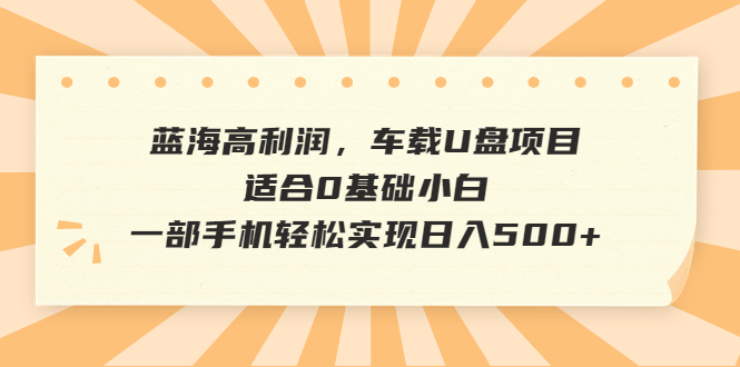 【副业项目6800期】蓝海高利润，车载U盘项目，适合0基础小白，一部手机轻松实现日入500+-悠闲副业网