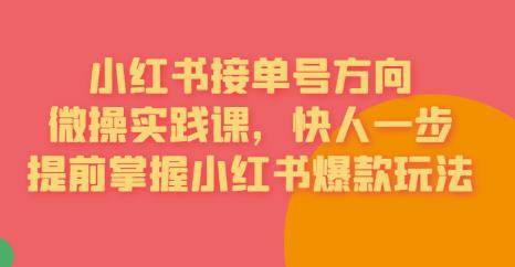 【副业项目6820期】接单号方向·小红书微操实践课，快人一步，提前掌握小红书爆款玩法-悠闲副业网