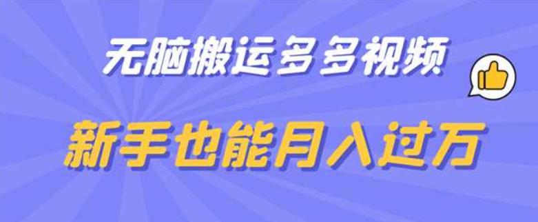 【副业项目6853期】无脑搬运多多视频，新手也能月入过万【揭秘】-悠闲副业网