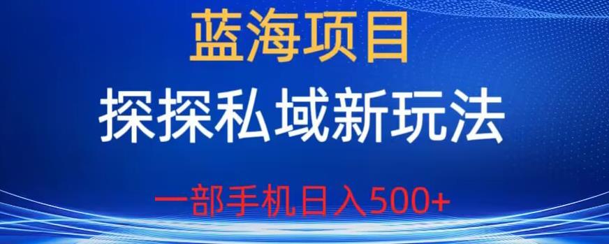 【副业项目6894期】蓝海项目，探探私域新玩法，一部手机日入500+很轻松【揭秘】-悠闲副业网