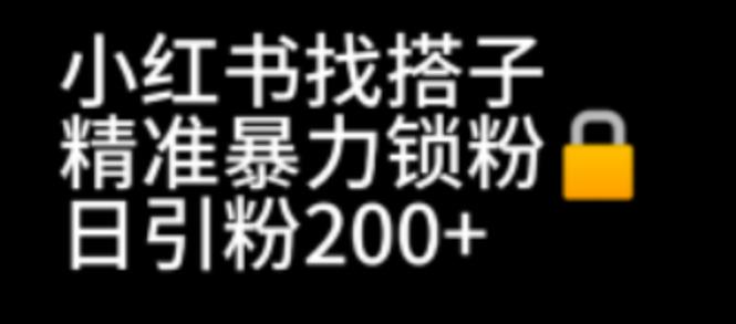 【副业项目7040期】小红书找搭子暴力精准锁粉+引流日引200+精准粉-悠闲副业网