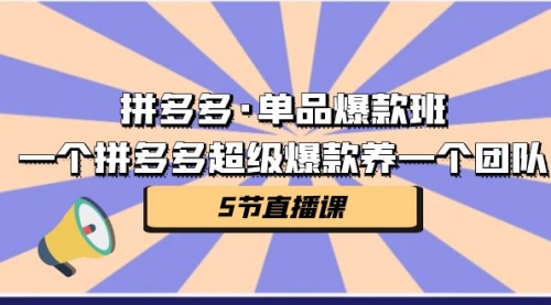 【副业项目第7171期】拼多多·单品爆款班，一个拼多多超级爆款养一个团队-悠闲副业网