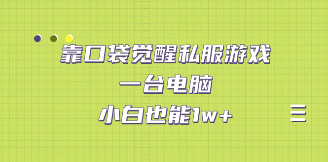 【副业项目7248期】靠口袋觉醒私服游戏，一台电脑，小白也能1w+（教程+工具+资料）-悠闲副业网