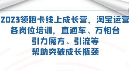 【副业项目7677期】2023领跑·卡 线上成长营 淘宝运营各岗位培训 直通车 万相台 引力魔方 引流-悠闲副业网