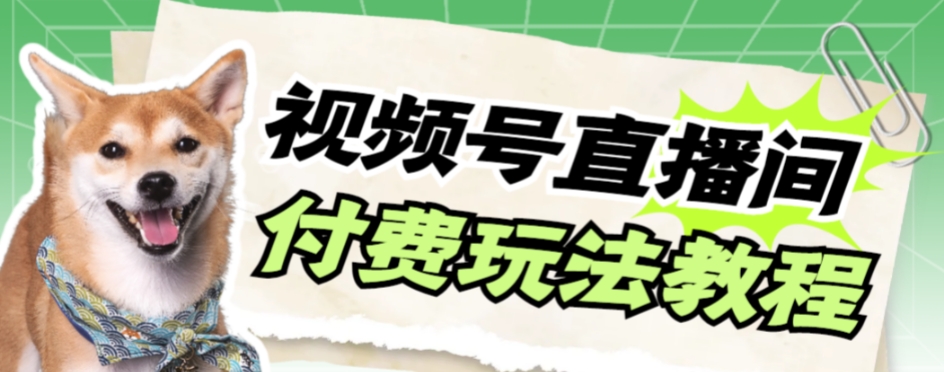 【副业项目7973期】视频号美女付费无人直播，轻松日入500+-悠闲副业网