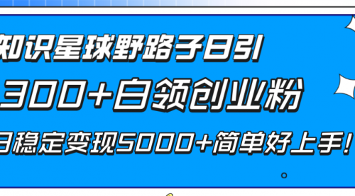 【副业项目8492期】知识星球野路子日引300+白领创业粉-悠闲副业网