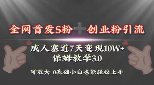 【副业项目8506期】成人用品赛道7天变现10w+保姆教学3.0-悠闲副业网