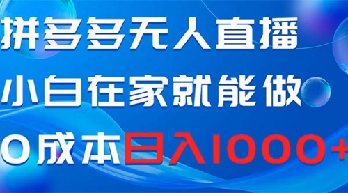 【副业项目8603期】拼多多无人直播，小白在家就能做，0成本日入1000+-悠闲副业网